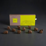 Elephant Shaped Crafted Chocolates - Kids Special