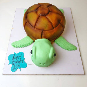 Tortoise Theme Cake