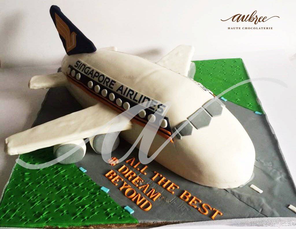 Airplane and Travel theme Cake Singapore / Singapore bakery - River Ash  Bakery