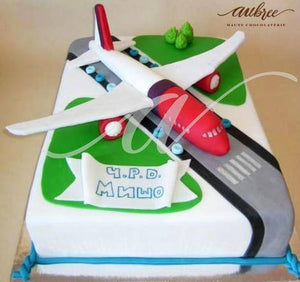 Aeroplane Landing Cake